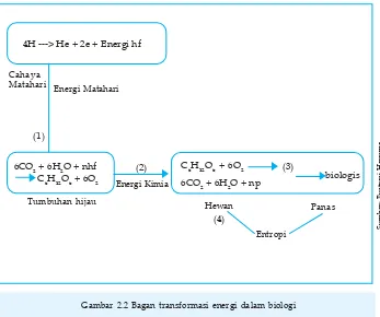 Gambar 2.2 Bagan transformasi energi dalam biologi