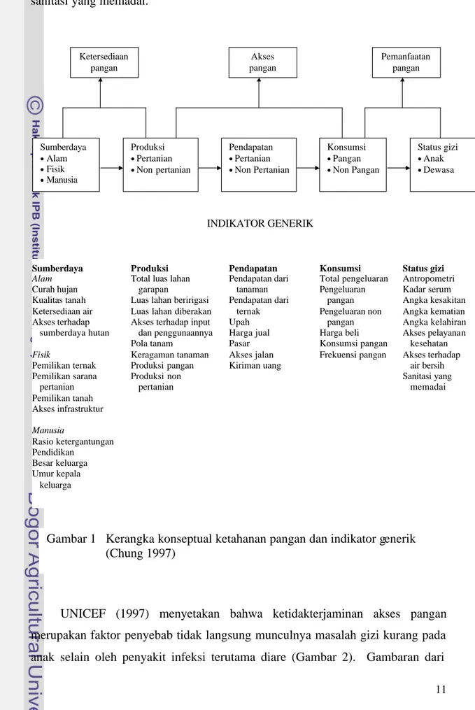 Gambar 1   Kerangka konseptual ketahanan pangan dan indikator generik  (Chung 1997) 