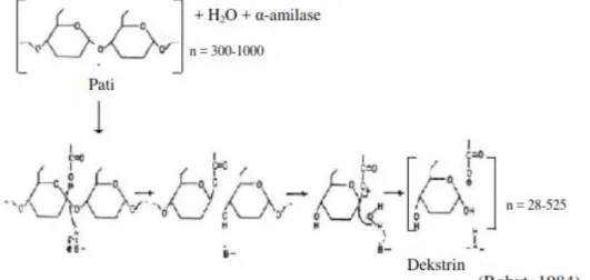 Gambar 2.2 Mekanisme hidrolisis pati secara enzimatis 