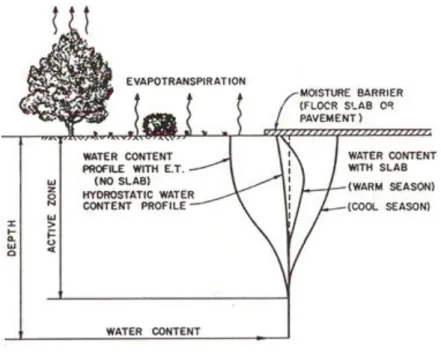 Gambar 2.2 Profil Kadar Air pada Zona Aktif (Nelson &amp; Miller, 1992) 