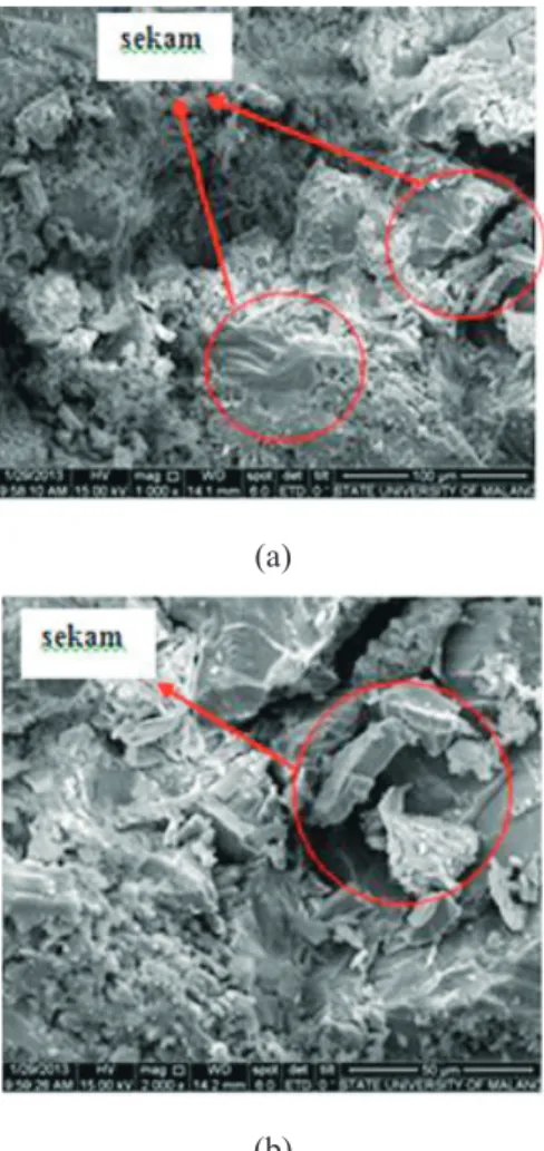 Gambar 8.  Struktur  micro  beton  5% ASP  hasil  uji  SEM,  a)  Pembesaran 1000×; b) Pembesaran 2000×.