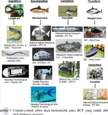 Gambar 3 Contoh-contoh robot ikan biomimetik jenis BCF yang sudah dibuat 
