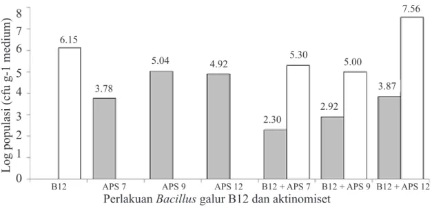 Gambar 1  Populasi Bacillus galur B12 dan aktinomiset (APS 7, APS 9, dan APS 12) pada  medium campuran tanah dan pupuk kandang steril (setelah 3 minggu periode inkubasi) pada  berbagai perlakuan