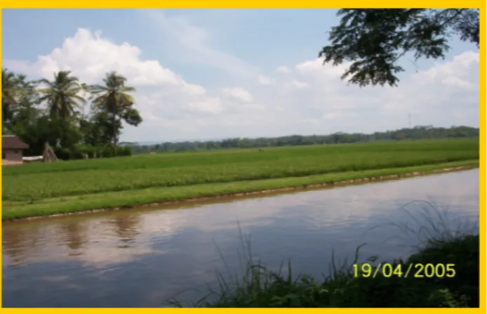 Gambar 2.6 Kondisi pertanian di Daerah Irigasi Molek 