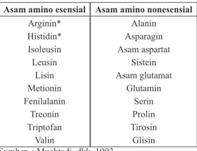 Tabel 2. Pengelompokkan Asam Amino Pada Ma- Ma-nusia
