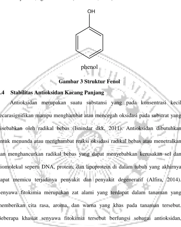 Gambar 3 Struktur Fenol  2.4  Stabilitas Antioksidan Kacang Panjang 
