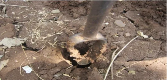Gambar 2.6.Pengambilan sampel tanah di desa Ngeposari, Semanu   Tabel 2.9. Hasil Pemantauan Kualitas Tanah di Zone Selatan 