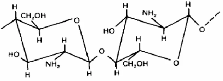 Gambar 2.1.Struktur kimia residu pada kitosan 