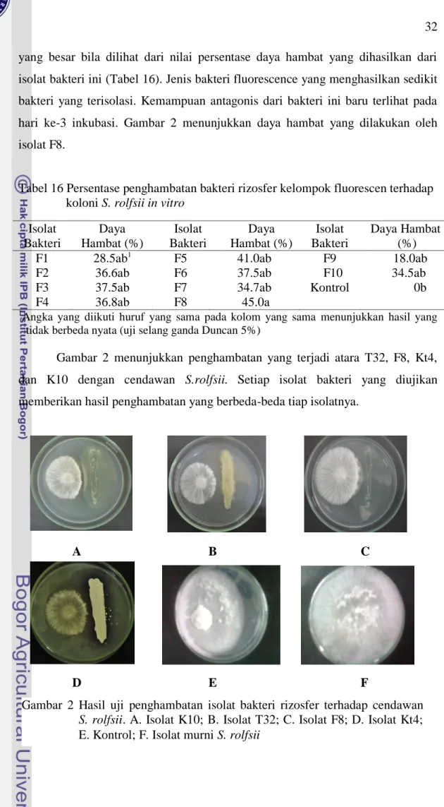 Tabel 16 Persentase penghambatan bakteri rizosfer kelompok fluorescen terhadap     koloni S