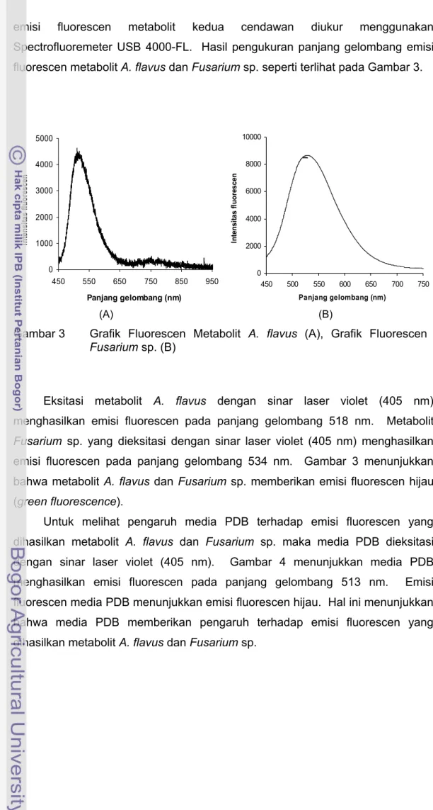 Gambar 3 Grafik   Fluorescen   Metabolit  A.   flavus  (A),   Grafik   Fluorescen  Fusarium sp
