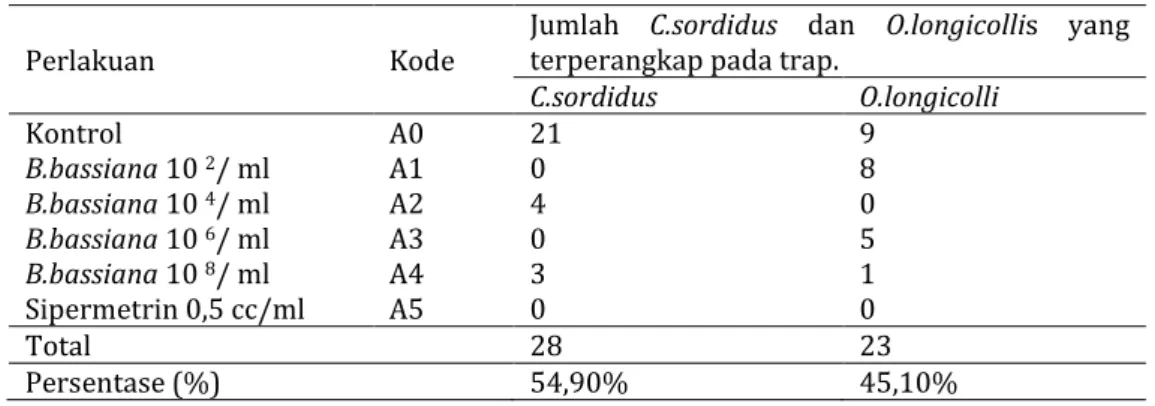 Tabel 3. Kepadatan populasi C.sordidus dan O.longicollis yang terperangkap pada perlakuan B.bassiana
