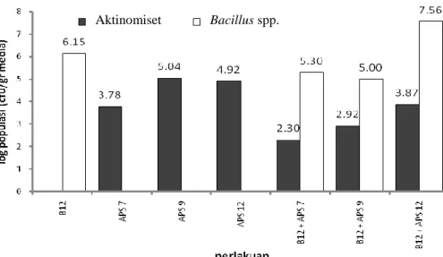 Gambar 3  Pengaruh  uji  kompatibilitas  bakteri  terhadap  populasi  Bacillus  spp. 
