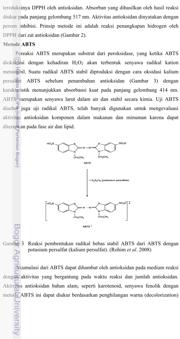 Gambar 3   Reaksi  pembentukan  radikal bebas stabil ABTS dari ABTS dengan  potasium persulfat (kalium persulfat)