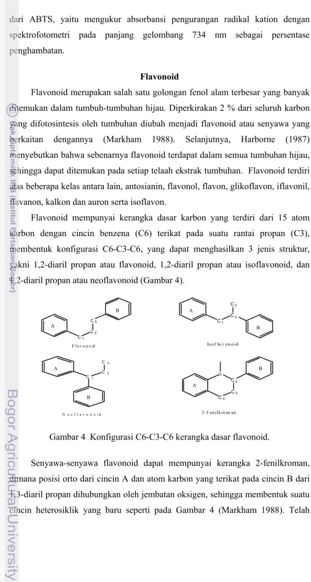 Gambar 4  Konfigurasi C6-C3-C6 kerangka dasar flavonoid. 