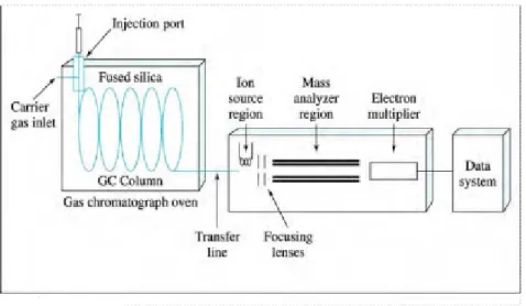 Gambar 2.1 Diagram Blok  Kromatografi Gas–Spektrometri Massa 