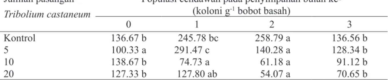 Tabel 3  Populasi total cendawan (koloni g -1  b.b.) pada beras selama penyimpanan yang  diinfestasi dengan Tribolium castaneum