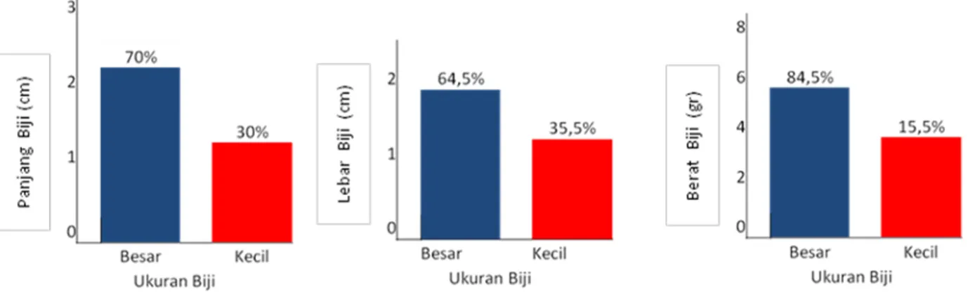 Gambar 2. Dimensi Biji Pongamia pinnata 