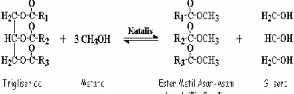 Gambar  1.  Reaksi  Transesterifikasi  Trigliserida  Menjadi Metil Ester 