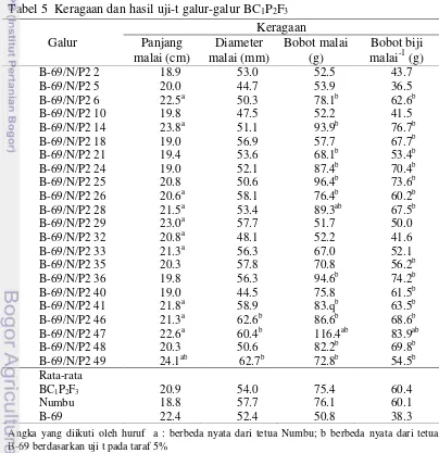 Tabel 5  Keragaan dan hasil uji-t galur-galur BC1P2F3 