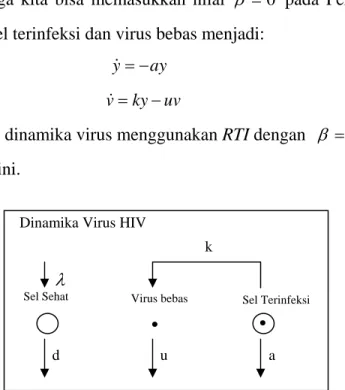 Gambar 4.1 Diagram model dengan reverse transcriptase inhibitors Dinamika Virus HIV
