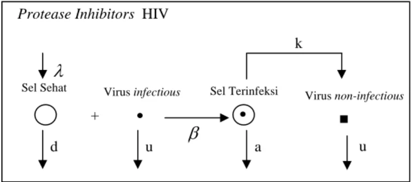 Gambar 4.4 Diagram model dengan Protease Inhibitors 