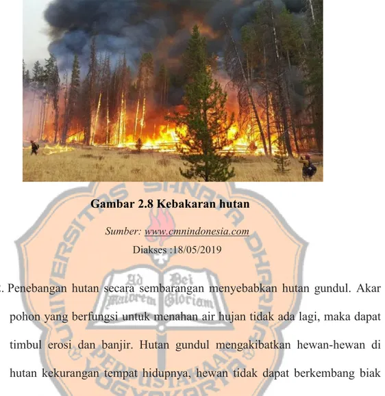 Gambar 2.8 Kebakaran hutan