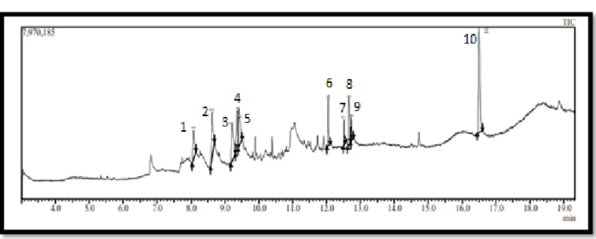 Tabel 1. Beberapa Senyawa pada Esktrak Daun Kitolod Hasil Analisis GC-MS. 