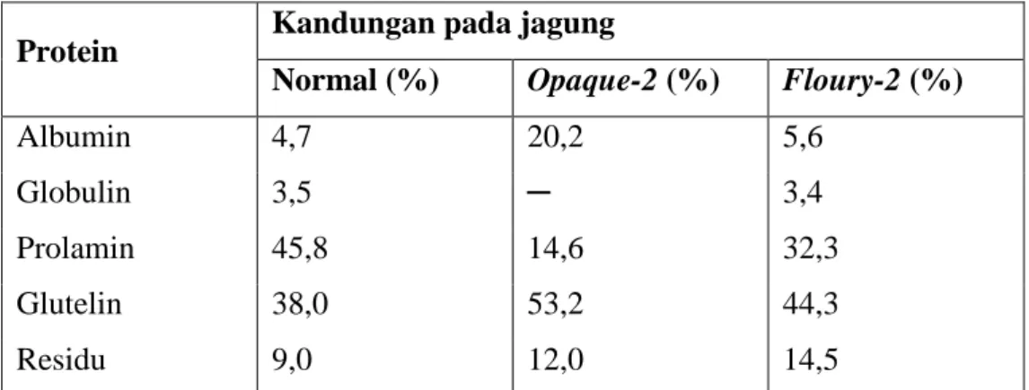 Tabel 1. Distribusi protein di dalam endosperma jagung  Protein  Kandungan pada jagung 