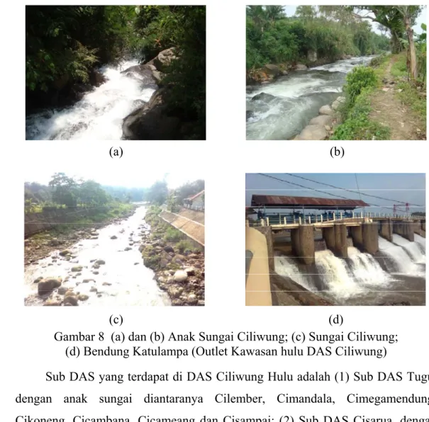 Gambar 8  (a) dan (b) Anak Sungai Ciliwung; (c) Sungai Ciliwung;                     