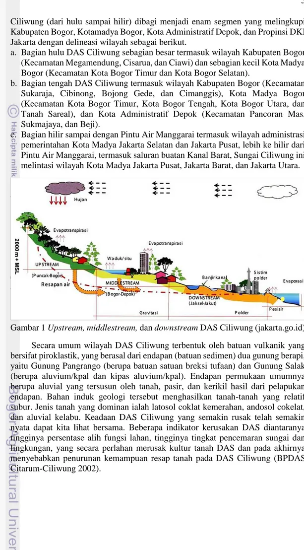 Gambar 1 Upstream, middlestream, dan downstream DAS Ciliwung (jakarta.go.id)  Secara umum wilayah DAS Ciliwung terbentuk  oleh batuan vulkanik  yang  bersifat piroklastik, yang berasal dari endapan (batuan sedimen) dua gunung berapi,  yaitu Gunung Pangrang