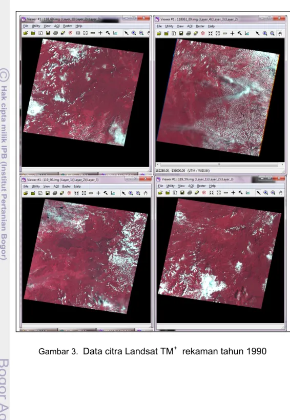 Gambar 3.   Data citra Landsat TM +   rekaman tahun 1990