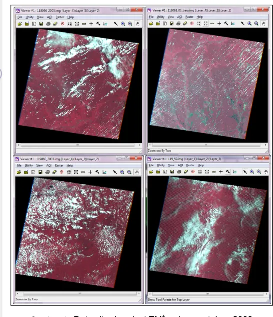 Gambar 4.   Data citra Landsat TM +   rekaman tahun 2003