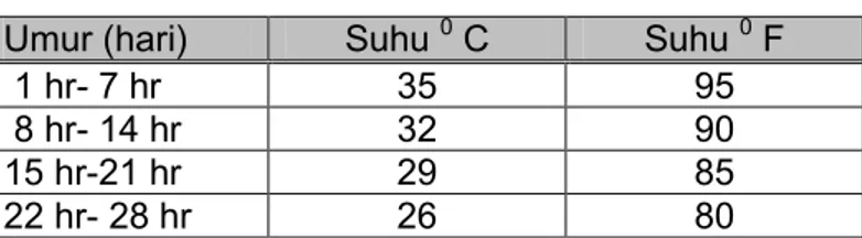 Tabel 1. Kondisi suhu lingkungan yang dikehendaki   oleh ayam pedaging/ ayam broiler  