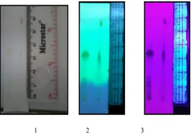 Gambar 5. Profil identifikasi flavonoid dengan fase gerak BAW  Keterangan:   Fase diam : silika gel F 254