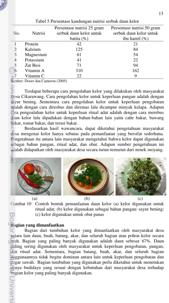 Gambar 10  Contoh  bentuk  pemanfaatan  daun  kelor  (a)  kelor  digunakan  untuk   ritual adat; (b) kelor digunakan sebagai bahan pangan/ sayur bening; 