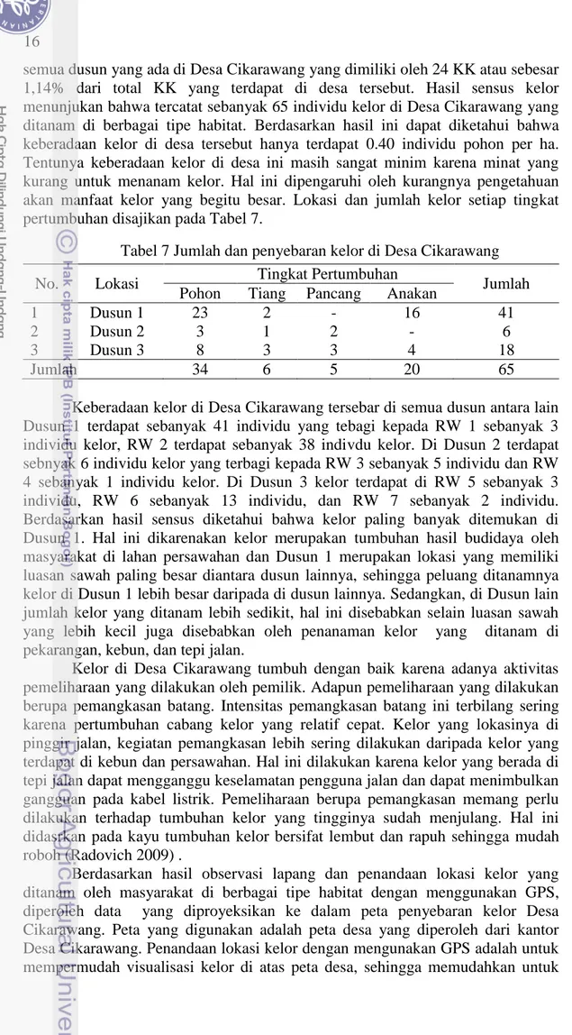 Tabel 7 Jumlah dan penyebaran kelor di Desa Cikarawang 