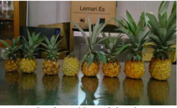 Gambar 1. Nanas Subgrade 