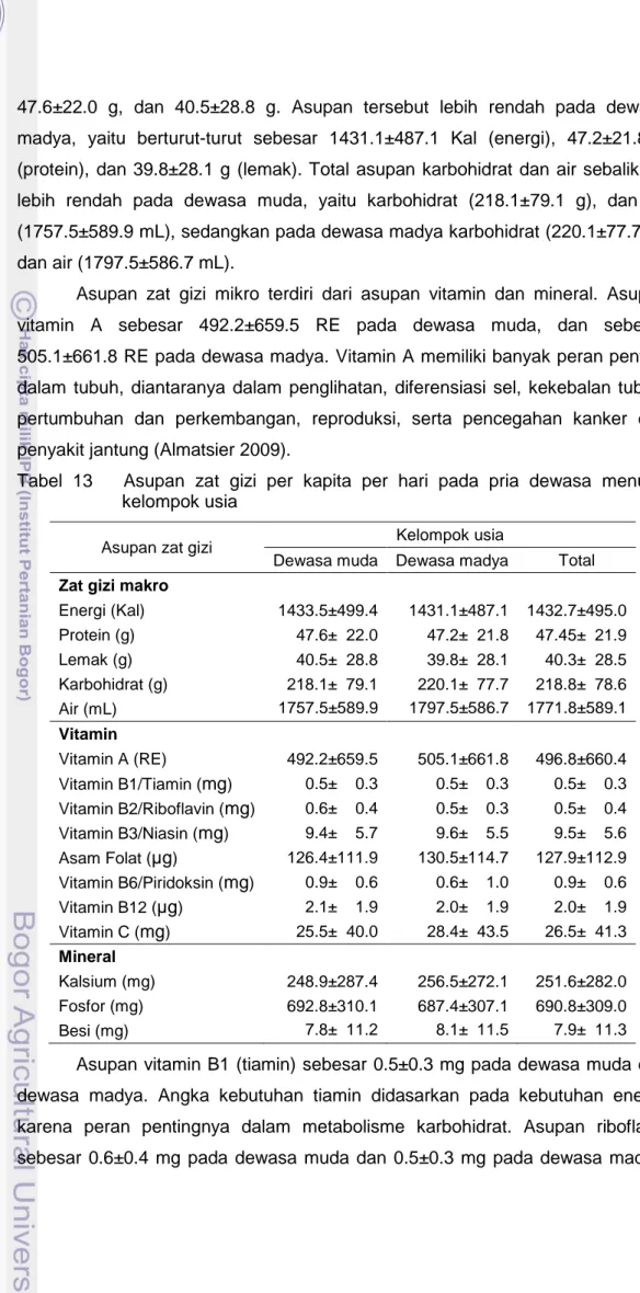 Tabel  13      Asupan  zat  gizi  per  kapita  per  hari  pada  pria  dewasa  menurut   kelompok usia 