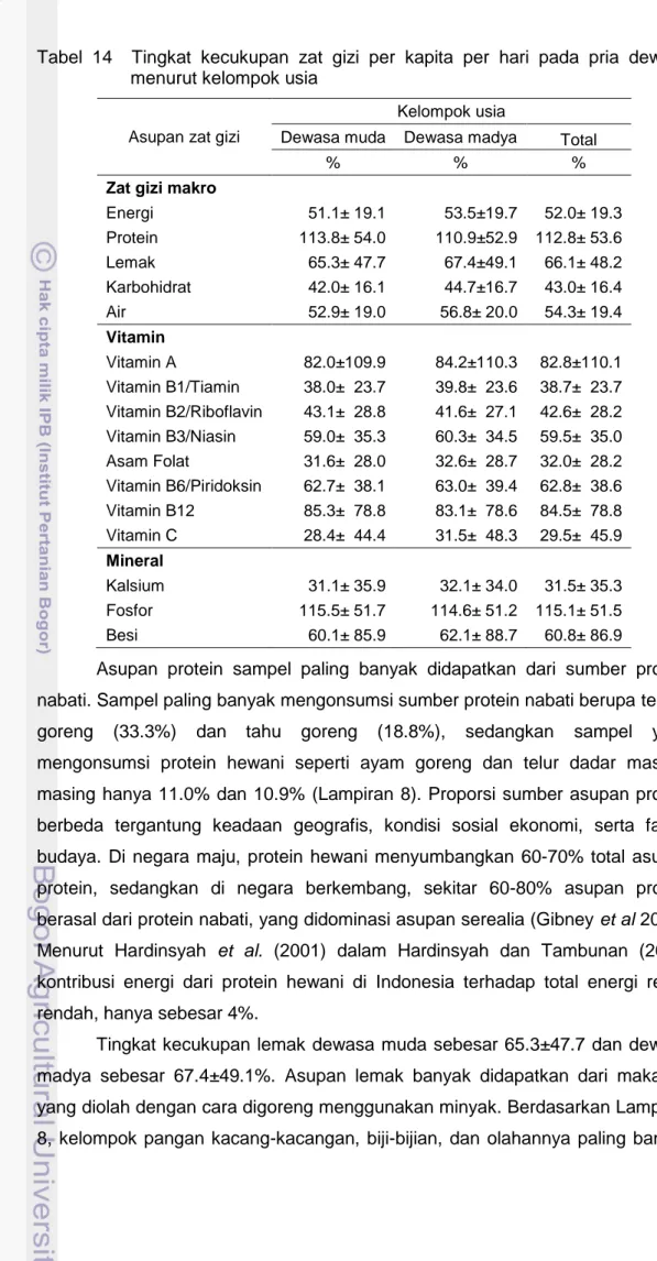 Tabel  14    Tingkat  kecukupan  zat  gizi  per  kapita  per  hari  pada  pria  dewasa  menurut kelompok usia 