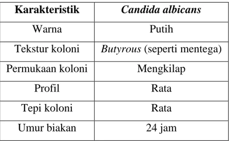 Tabel 1. Hasil pengamatan makroskopik khamir 