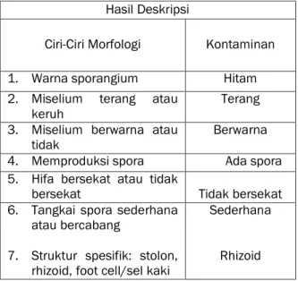 Tabel 1. Pengamatan Mikroskop Kontaminan  Kelompok I dari Pengamatan Morfologi   yang sama