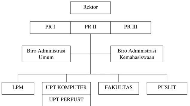 Gambar 2.1. Struktur Organisasi Makro  UPT Perpustakaan Universitas Negeri Malang 