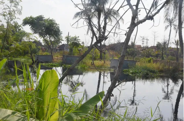 Gambar 7. Fasilitas MCK yang dibangun di atas sungai di Kabupaten Pekalongan  (Dokumentasi Pribadi, 19 Juni 2014) 