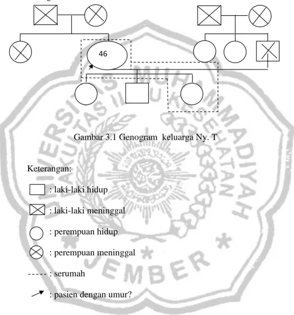 Gambar 3.1 Genogram  keluarga Ny. T 