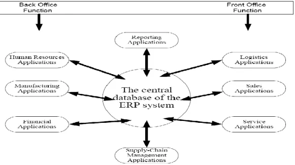 Gambar 1 Anatomi ERP 