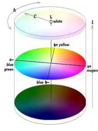 Gambar 2 Sistem warna L, a, b Hunter 