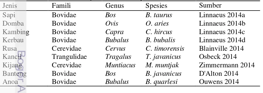 Tabel 1  Taksonomi sembilan jenis ruminansia penelitian 