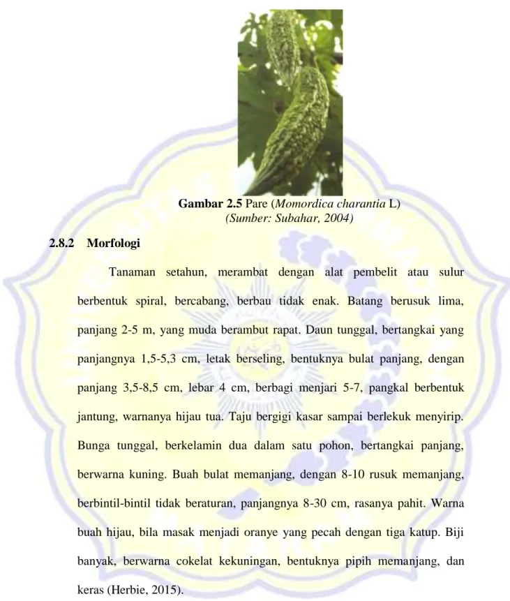 Gambar 2.5 Pare (Momordica charantia L)  (Sumber: Subahar, 2004) 