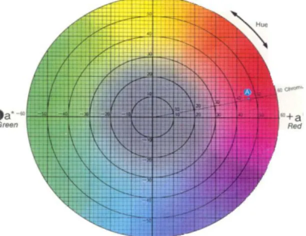 Gambar 13 Diagram Hunter  