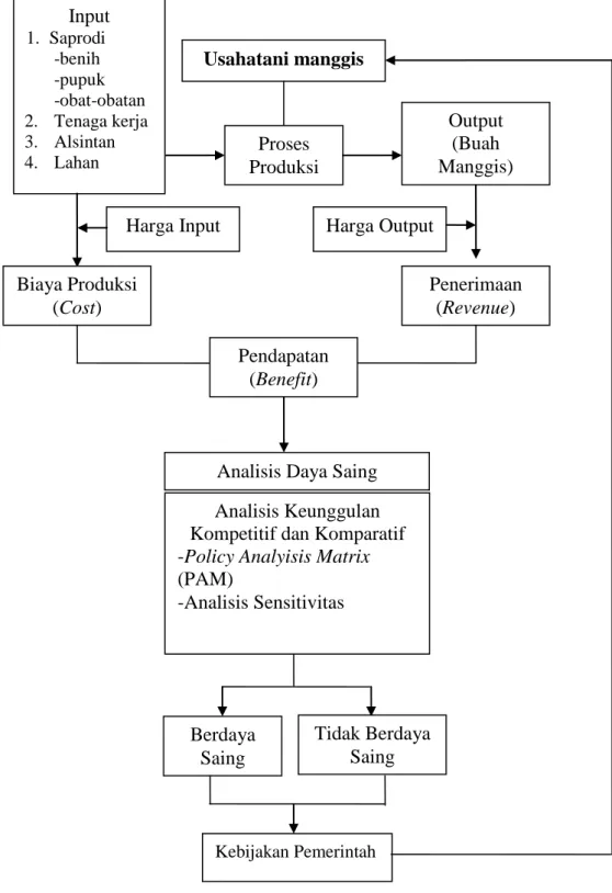 Gambar 3.   Paradigma Analisis Keunggulan Kompetitif dan Keunggulan  Komparatif Usahatani Manggis di Kabupaten Tanggamus,  2012  Usahatani manggis Proses Produksi  Output (Buah  Manggis) Input 1